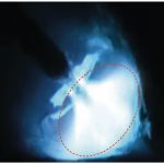Schweisskraft MIG/MAG-Impulsschweißgerät PRO-PULS 400 WS (Fahrwagen Profi, Bedienfeld oben) – Bild 5