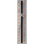 Holzmann Zylinderschleifmaschine ZS970P_230V -6