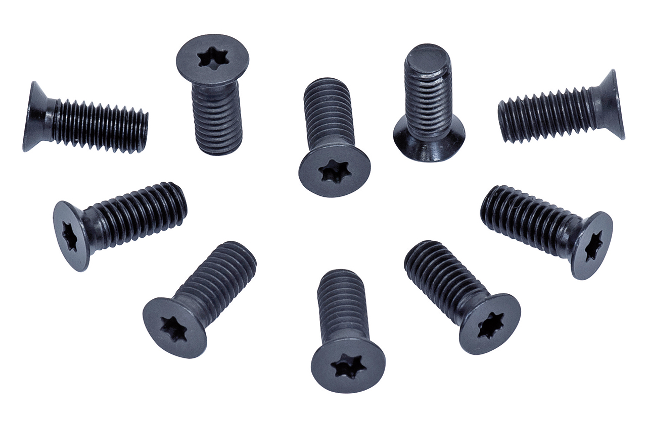 15-1079_1.jpg Bernardo Ersatzschrauben f. Spiralmesser-Hobelwelle (10 Stk.) f. AD 310 S / AD 410 S / PT 410 S / DH 310 S / DH 410 S / SP 150 PS / SP 200 PS / FS 410 PS -1