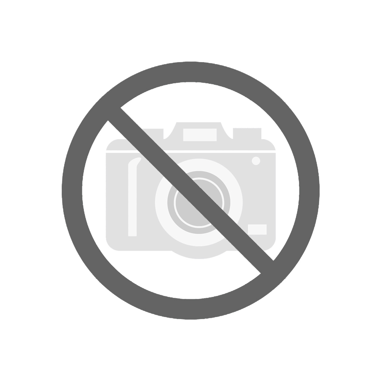 no_image_40.jpg Bernardo Hydraulische Sägebandspannung für MSB 320 H / HL / HG / HGL -1