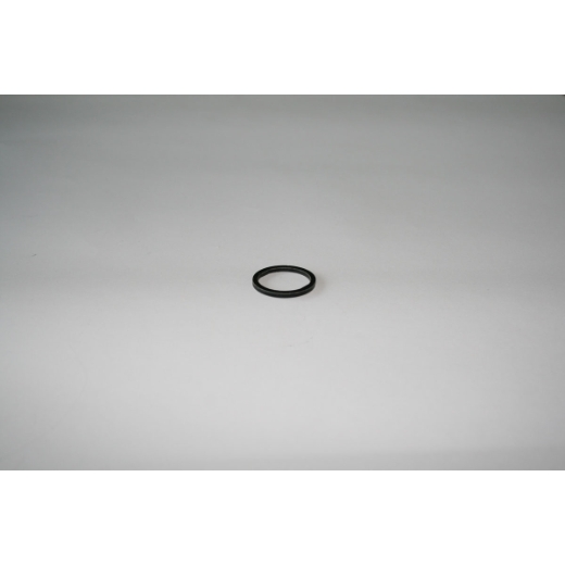 Elmag PA-Dichtring für 1/4' AG -1 Elmag PA-Dichtring für 1/4' AG -1
