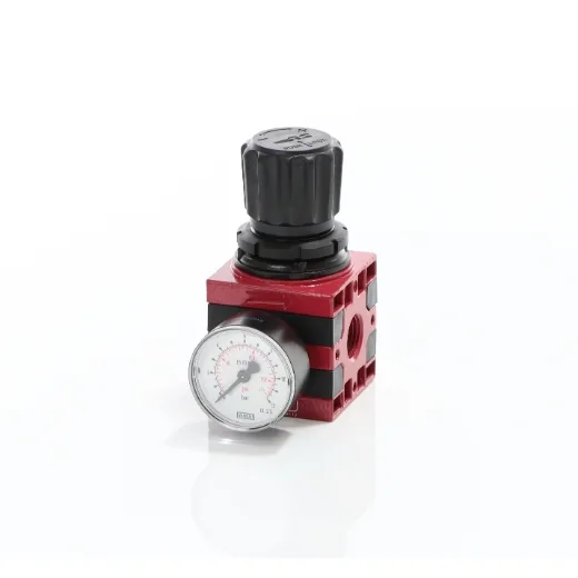 Elmag Druckminderer RG, 1/2' -1 Elmag Druckminderer RG, 1/2' -1