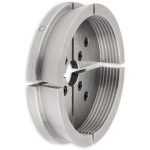 Schwalbenschwanz-Backen-Koloss -1