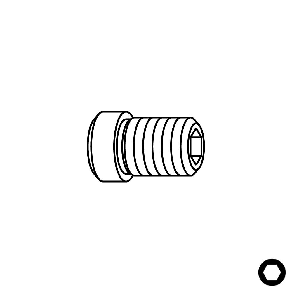 Schraube TCEI Guide - M5x6x9 D6-1 Schraube TCEI Guide - M5x6x9 D6 -1