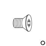 Schraube TSPTI - M5x4,75x6,5 D9 CMT -1