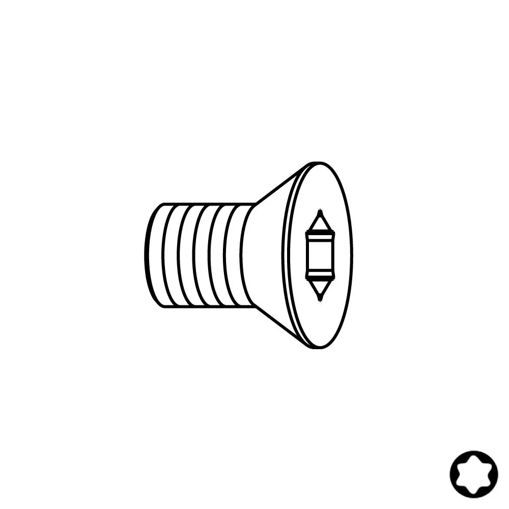 Schraube - M2,5x5,5 Torx8 -1