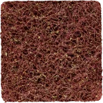 Product picture Vorderansicht