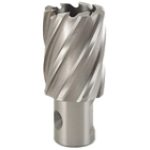 Optimum Kernbohrer HSS 22/50 -1