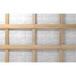 fischer Nageldübel N 5x30/5 P (100)-3