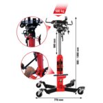 Foto Gesamt Allgemein