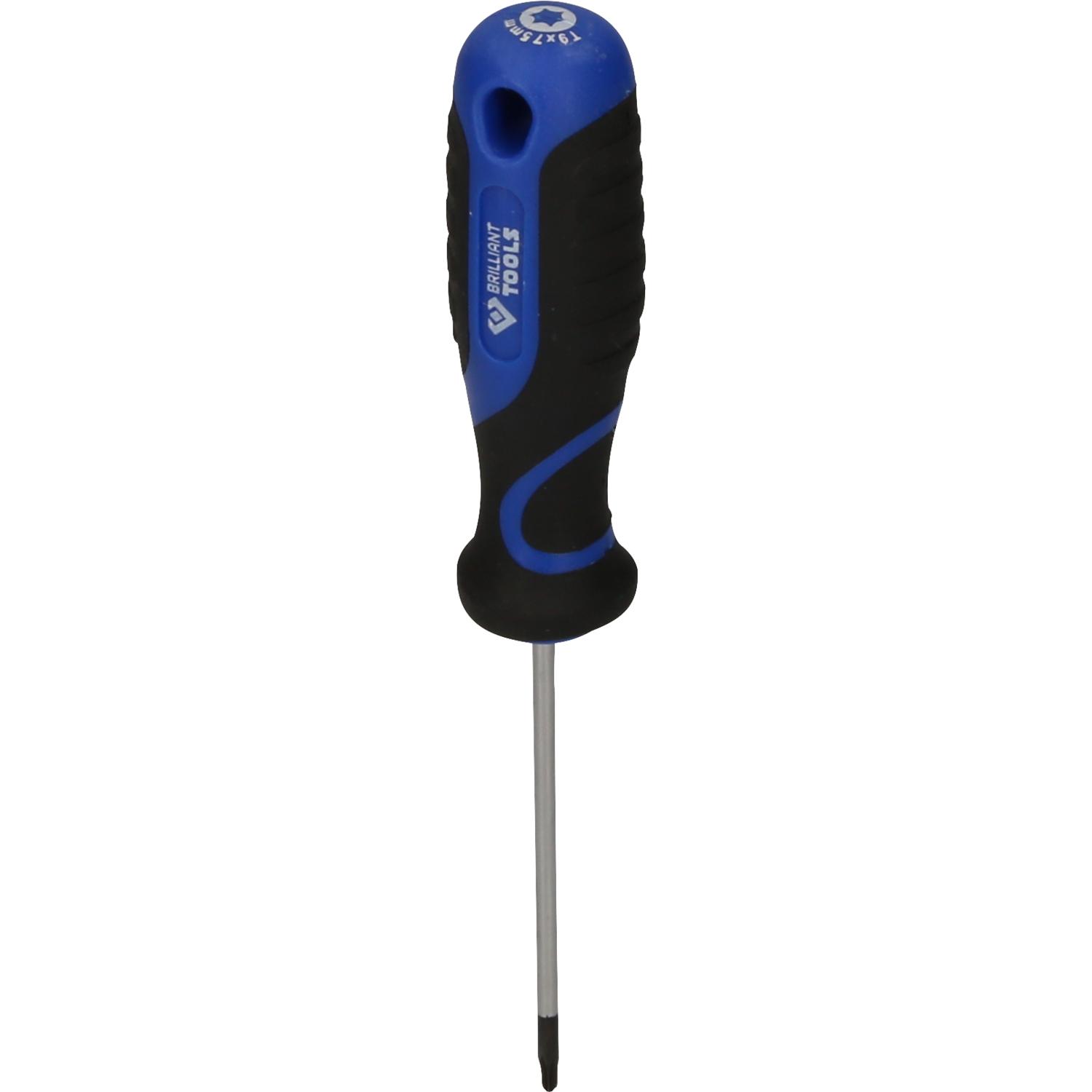Brilliant Tools Schraubendreher TORX, T9-1 Hauptbild