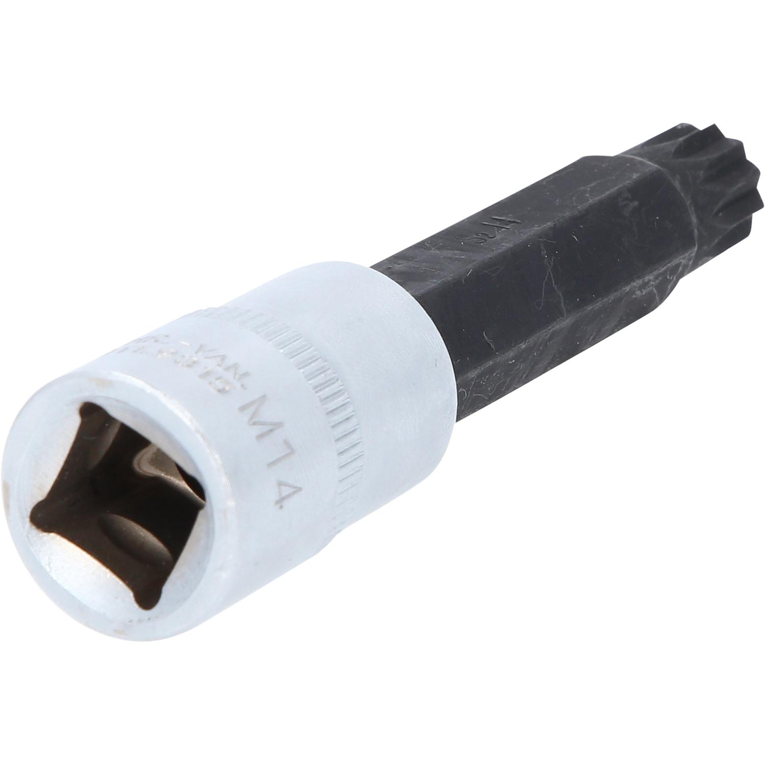 KS Tools 1/2" Bit-Stecknuss XZN, mittel, M14-2 Variantenbild
