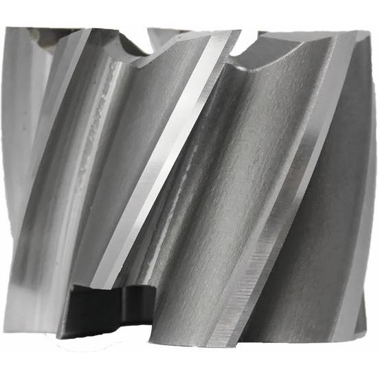 TTOOLS Milling HSS-Co5-Walzenstirnfräser Ø 40,00 x 32 mm, 8Z, Aufn.-Ø 16 mm -1 TTOOLS Milling HSS-Co5-Walzenstirnfräser Ø 40,00 x 32 mm, 8Z, Aufn.-Ø 16 mm -1