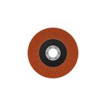 Bosch EXPERT X782 Fächerscheibe 125 mm G120 abgewinkelt.