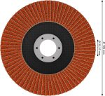 Bosch EXPERT X782 Fächerscheibe 125 mm G80 zum Schleifen.